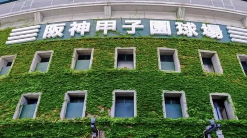 阪神の甲子園の開幕、毎シーズンなんでこんなに遅いの？