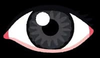 失明って1番最悪だよな