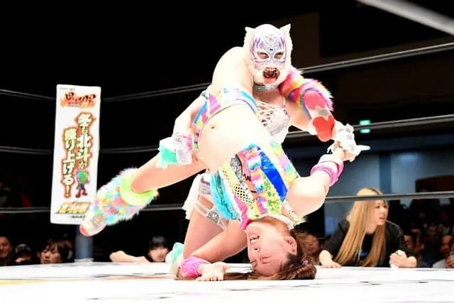 【動画】フワちゃん、プロレスでも炎上ｗｗｗｗｗｗｗｗｗ