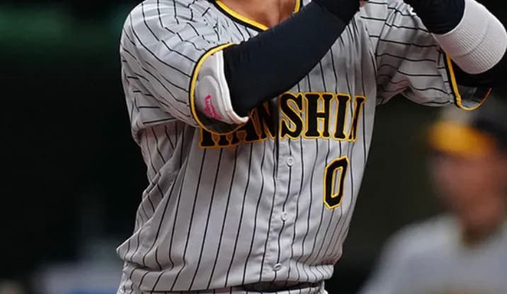 阪神、交流戦の代打がマジで読めない件