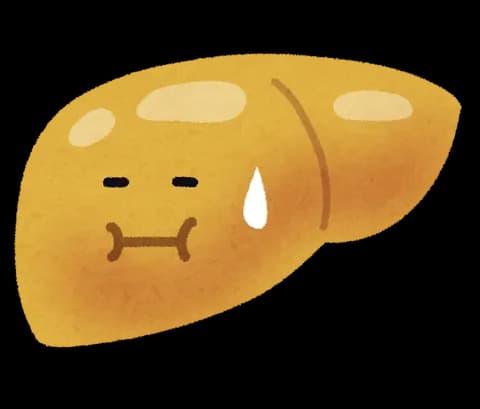 肝臓「…………………あの」彡(ﾟ)(ﾟ)「！」