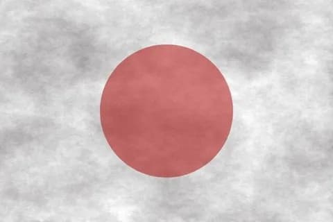 【謎】日本に住み、日本語を喋りながらも永遠と日本の批判ばかりしてる人の正体