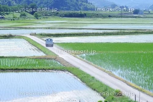 【悲報】都会のサラリーマンさん、田舎で農家にもなれず惨めに暮らしてしまう・・・・・・・・・