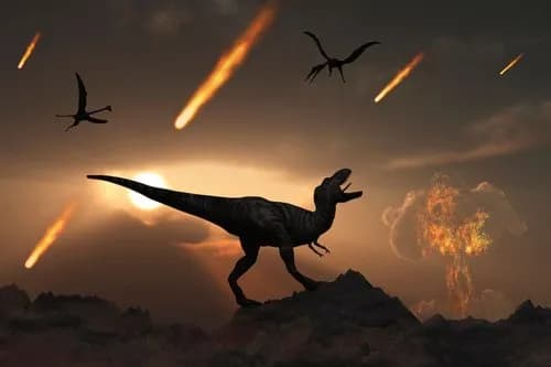 【悲報】恐竜さん、1億5000万年もあったのに知恵をつけなかった結果ｗｗｗｗｗｗｗｗｗｗ