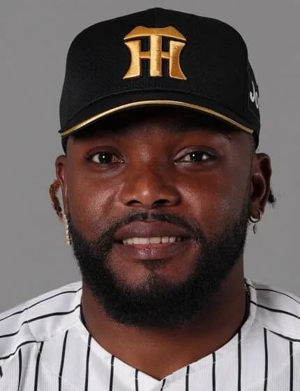 【高知】ラファエル・ドリス(38) 9登板 防御率1.00 11奪三振 4H2S WHIP0.78