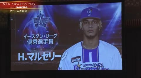 DeNAマルセリーノ、来日5年目で初の開幕1軍！ 「日本のお父さん」入来コーチと掴んだ背番号3桁からの大成目指す