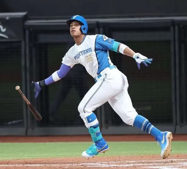 NPB「できるだけ高い数値に」　ミズノ社へ反発係数の操作を依頼していた