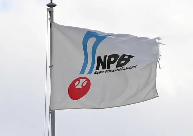 プロ野球セカンドキャリア調査「引退後にやってみたい仕事」１位は経営者、２位は海外で現役続行