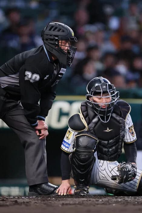 NPB、危険スイングに「退場」検討　承認されれば、シーズン中から適用