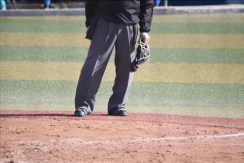 【野球】選手会、ロボット審判導入に前向きも…「審判への敬意は？」の声