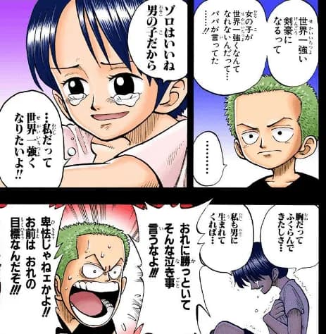 たしぎ「女だと強くなれねェ！……」ﾎﾞﾛﾎﾞﾛ←尾田くんさぁ…