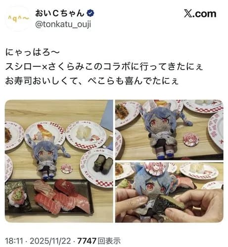 【戦慄】ぬい活とかいう奇行、ガチのマジでヤバすぎるｗｗｗｗｗｗｗｗｗｗ
