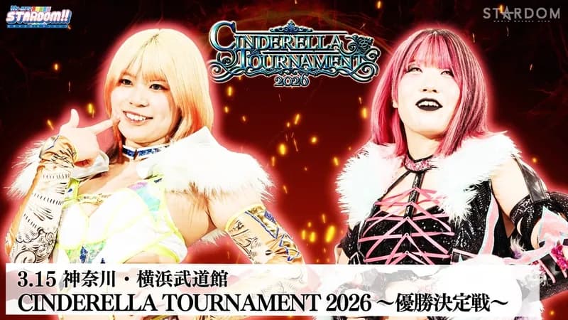 【悲報】女子プロレス観てたらガチでヤバすぎる技が炸裂してたｗｗｗｗｗｗｗｗｗｗ