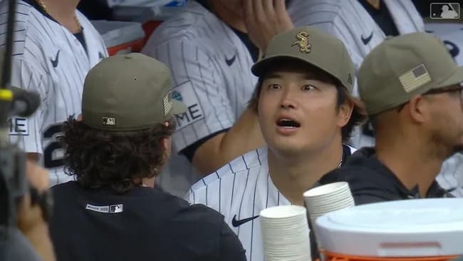 【悲報】村上宗隆さん、ネコだったｗｗｗｗｗｗｗｗｗｗｗｗｗｗｗｗｗｗｗｗ