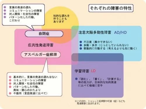 【悲報】発達障害さん「人生詰んでるから努力は無駄」←論破してくれｗｗｗｗｗｗｗｗｗｗ