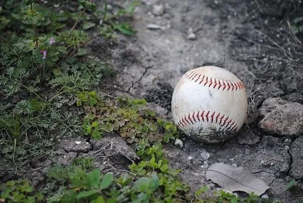 プロ野球界の薬物蔓延問題、大事になる