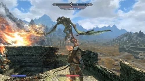 【悲報】スカイリム初心者ワイさん、modの導入を試みてから10時間が経過ｗｗｗｗｗｗｗｗｗｗ