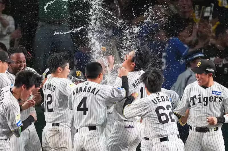 今年の阪神の交流戦、所沢がない