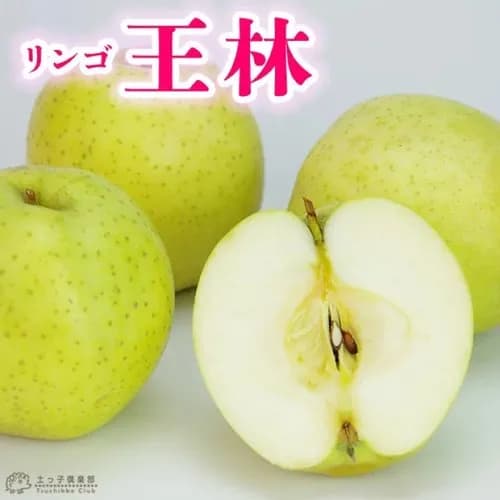 【悲報】王林さん、裸族ゆえ自宅で作業員から丸見えになってしまうｗｗｗｗｗｗｗｗｗｗ