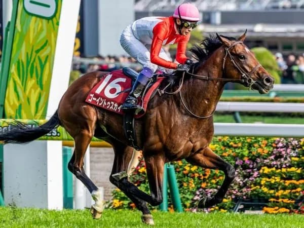 【日本ダービー】 ゴーイントゥスカイ5番人気くらいかと思ってたわ