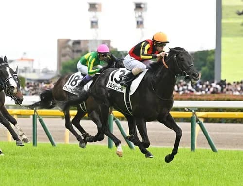 【悲報】「パち◯こで100万円勝つ」←不可能、「競馬で100万円勝つ」←5分ｗｗｗｗｗｗｗｗｗｗ