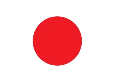 【悲報】自民党さん「家で壊した国旗をデモに持ってくるのは対象外だよ」・・・・・・・・・