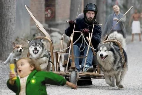 情報量多すぎってなる画像ください