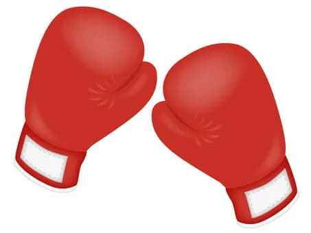 (ヽ´ん｀)「ボクシングって勝った方が腕を上げるじゃないですか」