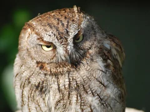 【コピペ集】（　´ん`）「近場で万引きしすぎてマークされてるからわざわざチャリで遠出してる」