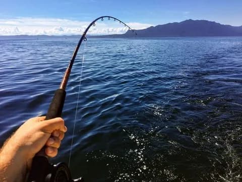 (ヽ´ん`)「川釣りでアジが大漁大漁。しかも自分で釣ればタダという最強のコスパ」