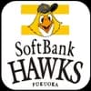 logo image of hawks