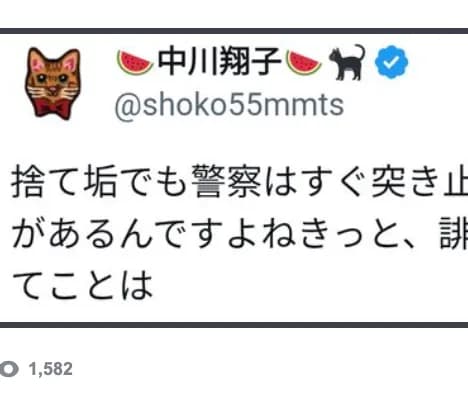 【悲報】しょこたん「『覚悟』があるんですよね?誹謗中傷するってことは・・・・・」