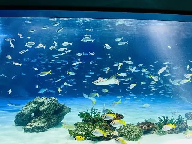 おまえらが一番好きな水族館
