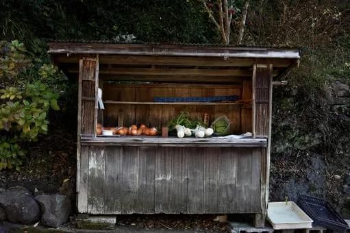 【悲報】無人販売所「万引きされたー!悔しい」視聴者「かわいそう!万引き許すな」←これwwwwwwwwwwwwwwww