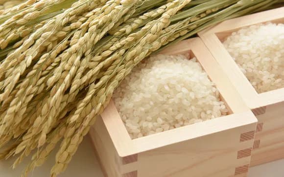 【衝撃】新米の値段やばすぎ!5kg7800円はもはや高級品wwwww