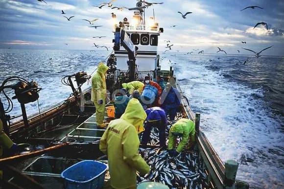 【画像】日本で魚が取れなくなってきたらどうするの?wwwwwwwwwwwwwwww