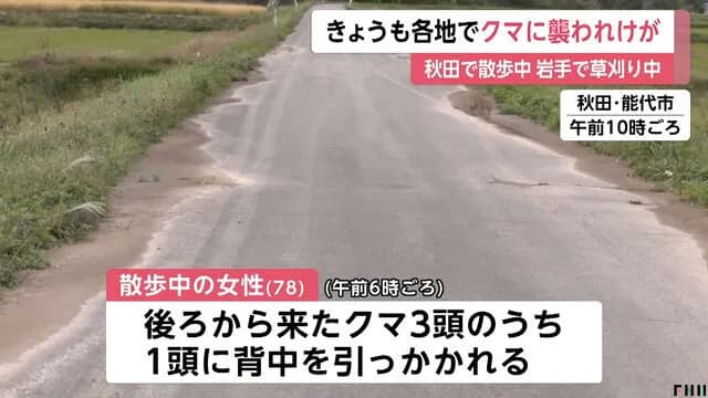 【秋田】78歳のばあさん👵、散歩中にクマ3頭🐻🐻🐻と遭遇