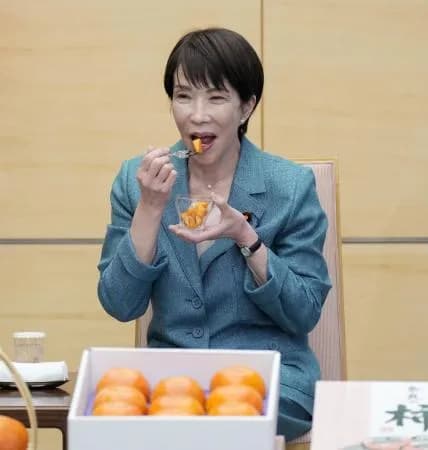 高市早苗「会食してる暇があるぐらいなら勉強したい」←何で今まで勉強して来なかったんや?