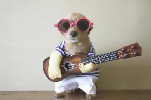 【急募】36歳無職のワイがこっからロックスターになって人生逆転する方法wwwwwwwwwwwwwwww