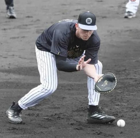 阪神・ディベイニー 雨中の早出特守 小型ミットで逆シングルを封印「基本を大切にしようと」
