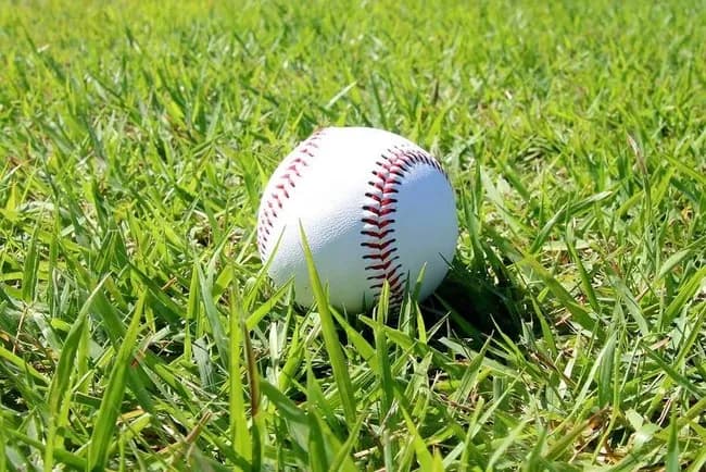 【悲報】日大三高、ネットのデマにブチギレ「事実無根!法的措置を取る!」