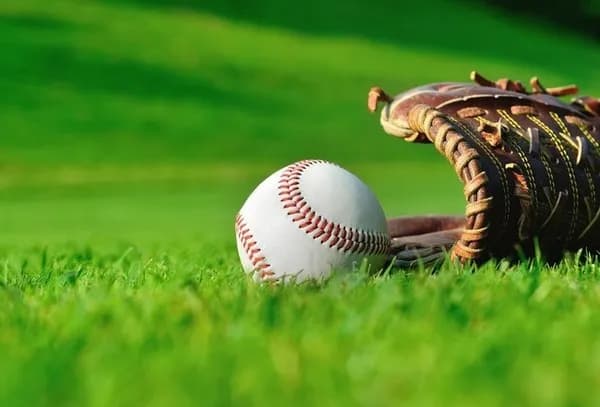 息子にやらせるスポーツってやっぱり野球一択なんやろか?バドミントンとかやらせても意味ないよな