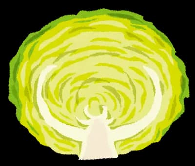 学食ワイ「この定食のキャベツ、骨ばっかじゃん」陽キャ「え? キャベツの骨?w」