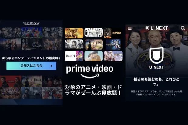 動画配信サービス「入って後悔」ランキング、意外なワースト1位は「倍速視聴できない」「有料作品ばかり」