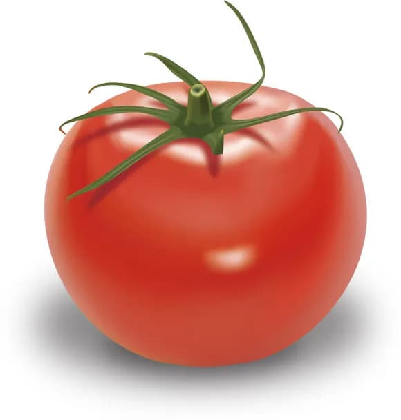 【急募】間違いなく身体に良さそう食べ物←何が思いついた?wwwwwwwwwwwwwwww