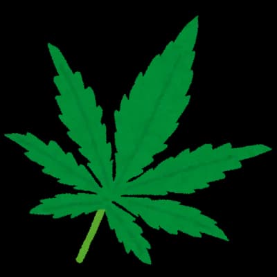 日本も大きい麻解禁しろよ