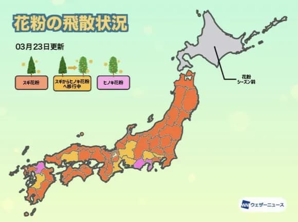 【朗報】スギ花粉、ピークアウトwwwwwwwwwwww