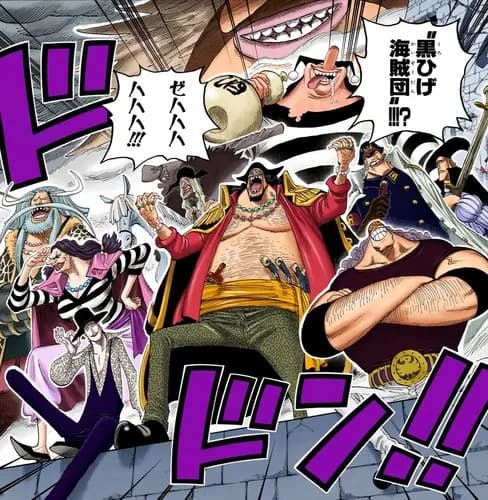 【速報】麦わら海賊団の11人目、とんでもない奴が確定してしまうwwwwwwwwww