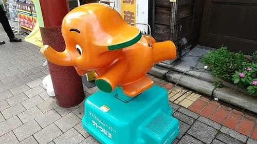【衝撃】「悲惨な死に方をしたゾウ」ランキングさん、とんでもない結果になってしまうwwwwwwwwww