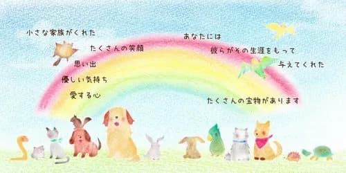 【悲報】新入社員さん「昨年祖母が虹の橋を渡りまして」ワイ(ペットの話か?)wwwwwwwwww
